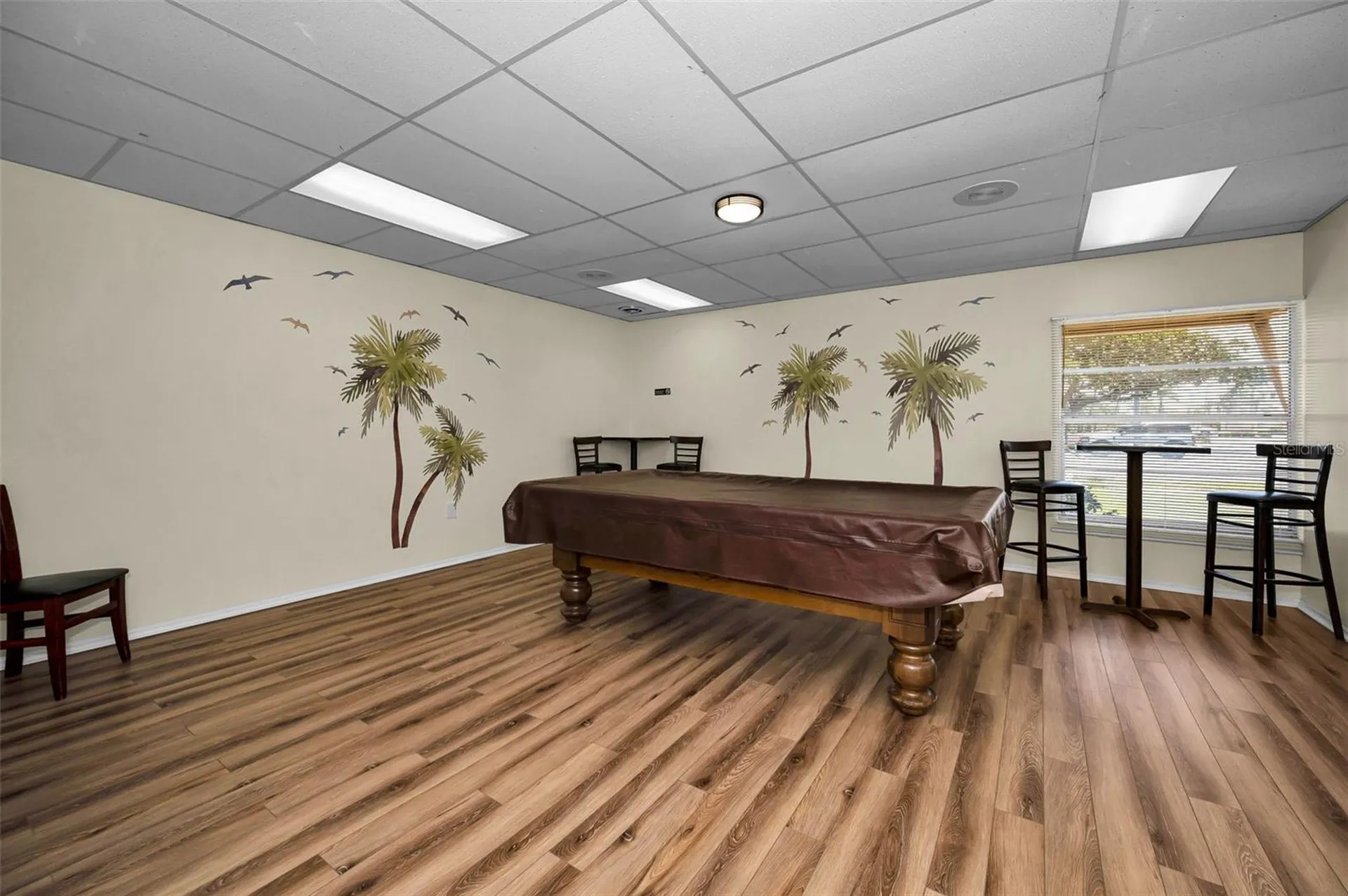Seminole FL 33777