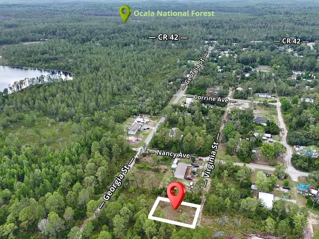 56309 Virginia Street Paisley FL 32767
