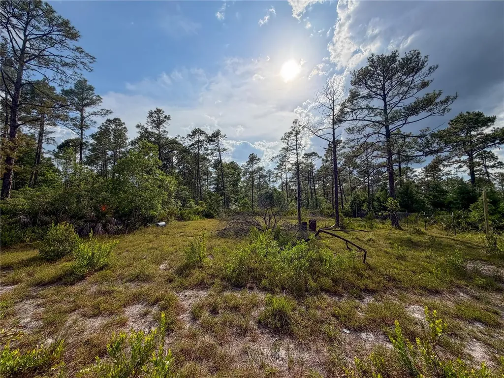 56309 Virginia Street Paisley FL 32767