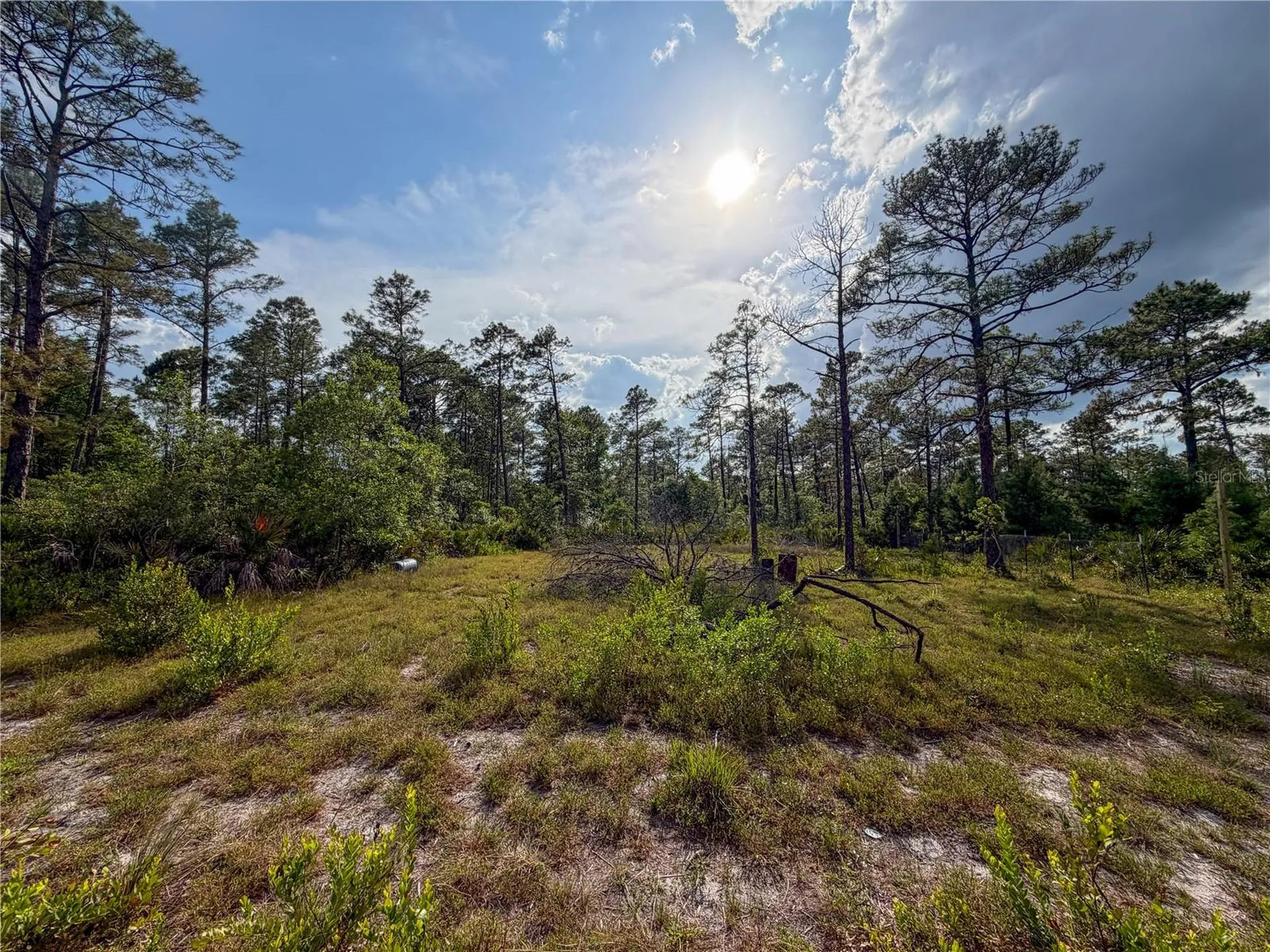 56309 Virginia Street Paisley FL 32767