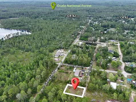 56309 Virginia Street Paisley FL 32767