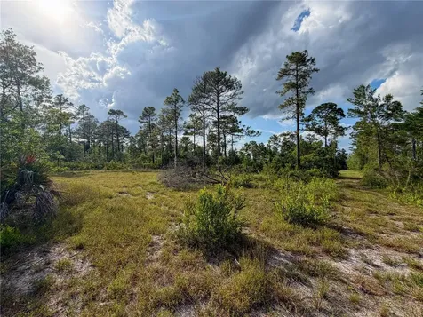 56309 Virginia Street Paisley FL 32767