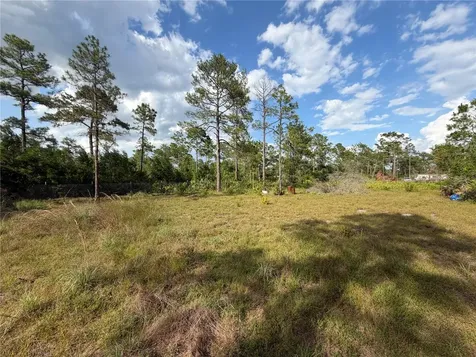 56309 Virginia Street Paisley FL 32767