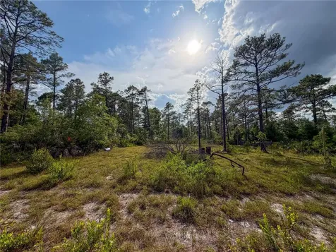 56309 Virginia Street Paisley FL 32767