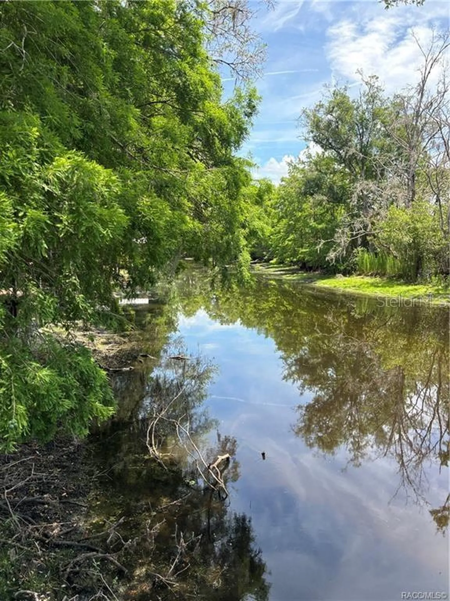 5185 S Alligator Place Floral City FL 34436
