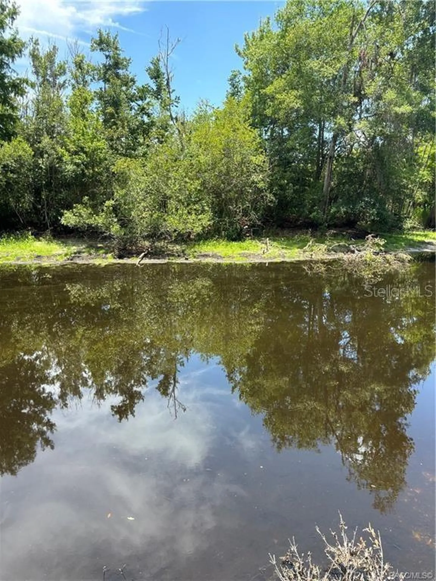 5185 S Alligator Place Floral City FL 34436