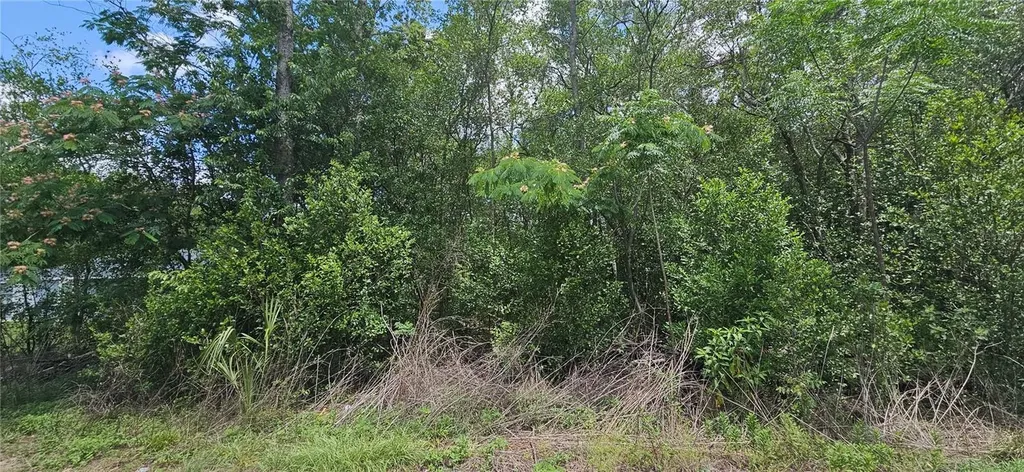 144TH Summerfield FL 34491