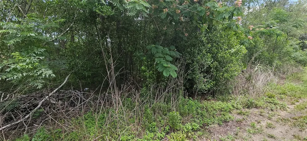 144TH Summerfield FL 34491