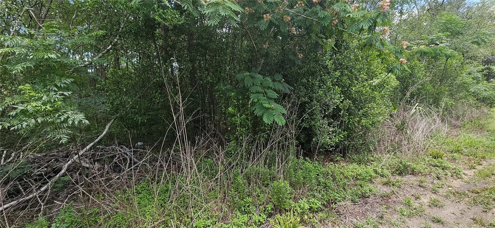 144TH Summerfield FL 34491