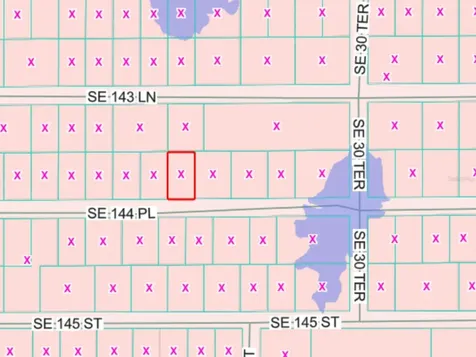 144TH Summerfield FL 34491