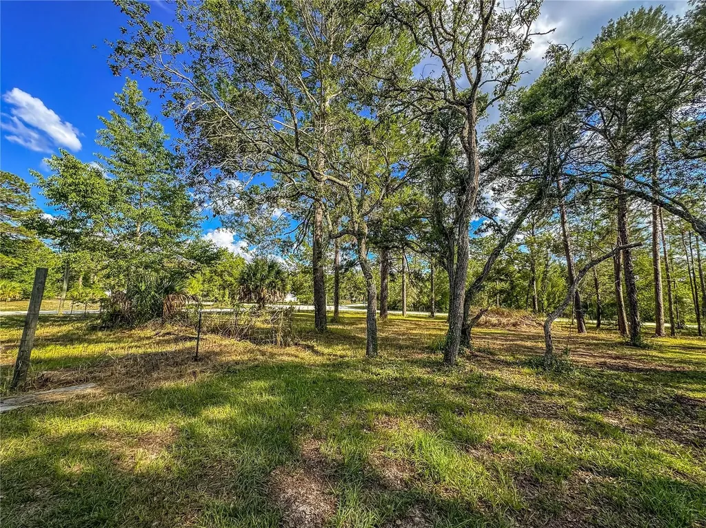 14209 Tayco Drive Weeki Wachee FL 34614