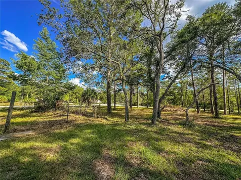 14209 Tayco Drive Weeki Wachee FL 34614
