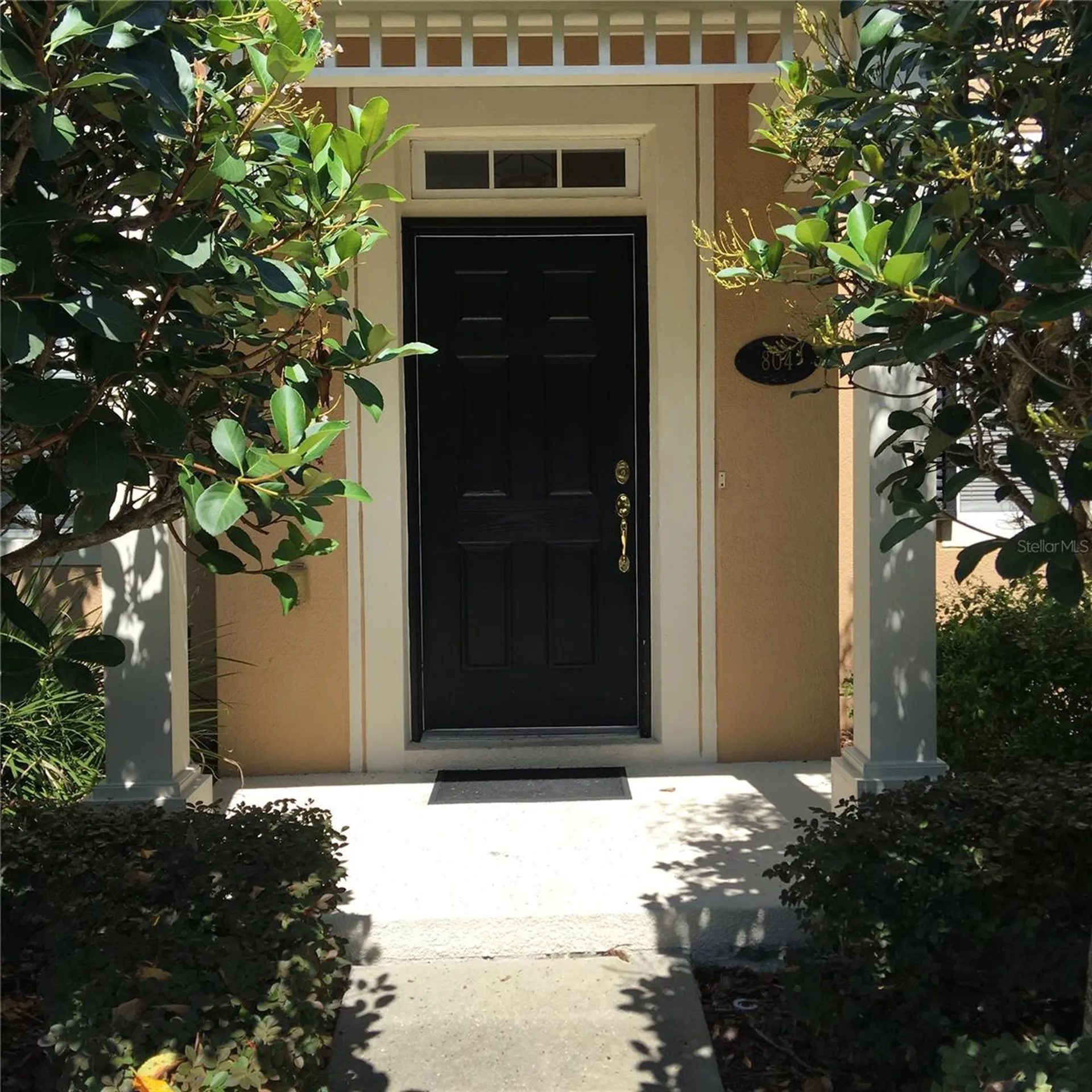 804 Carlyle Lane Deland FL 32724