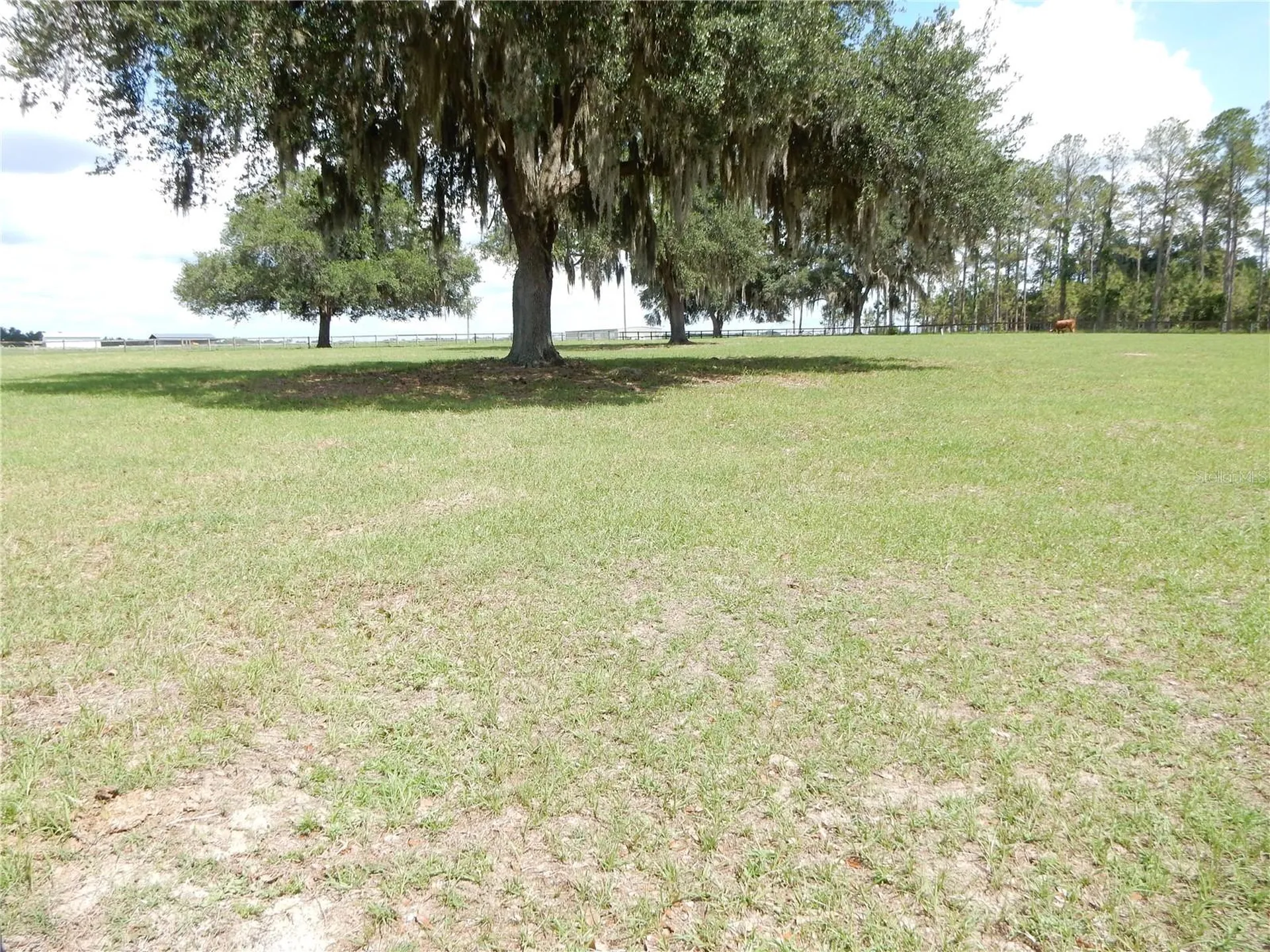 30841 Deer Run Dade City FL 33523