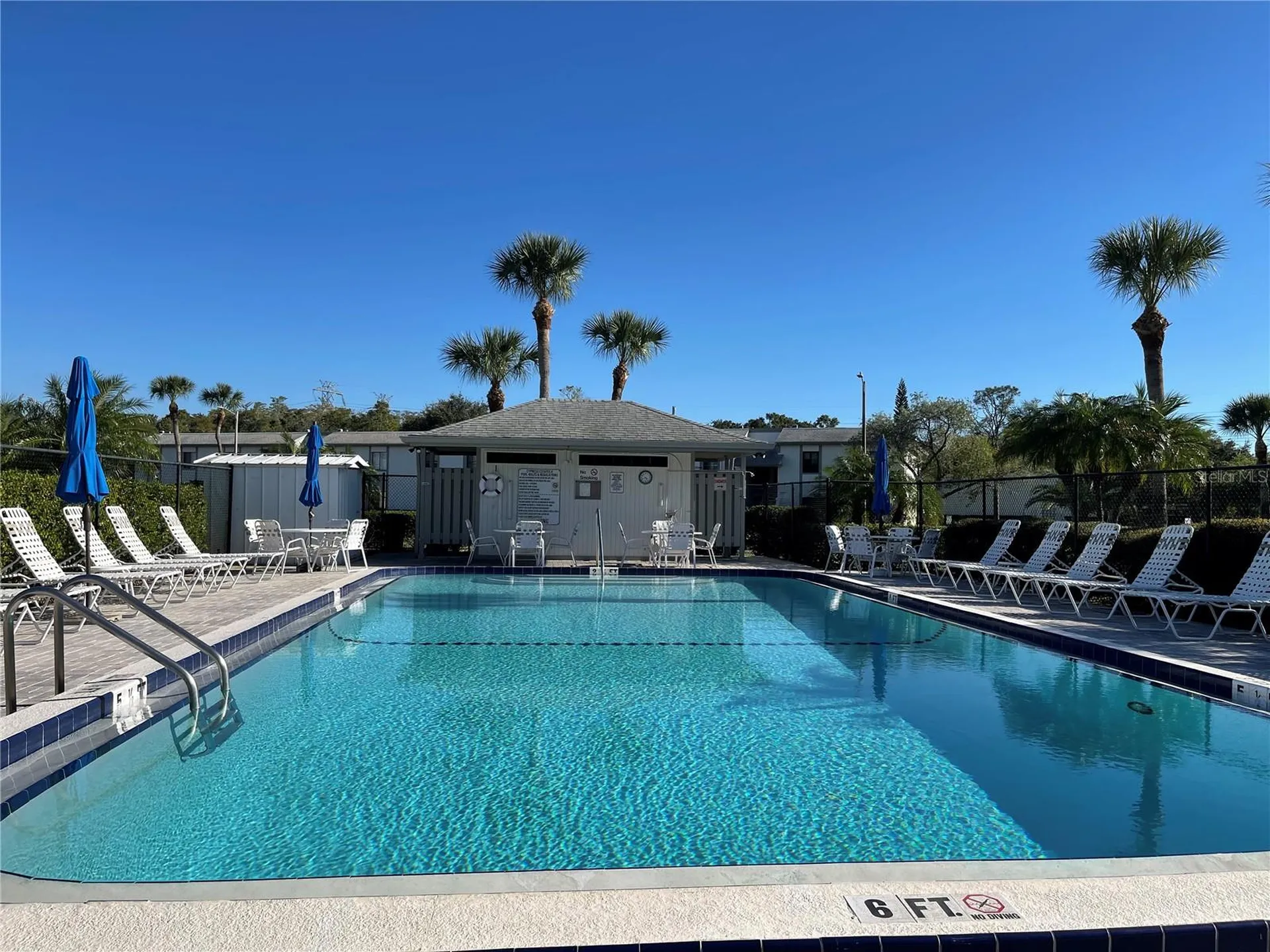 103 Palmetto Court Oldsmar FL 34677