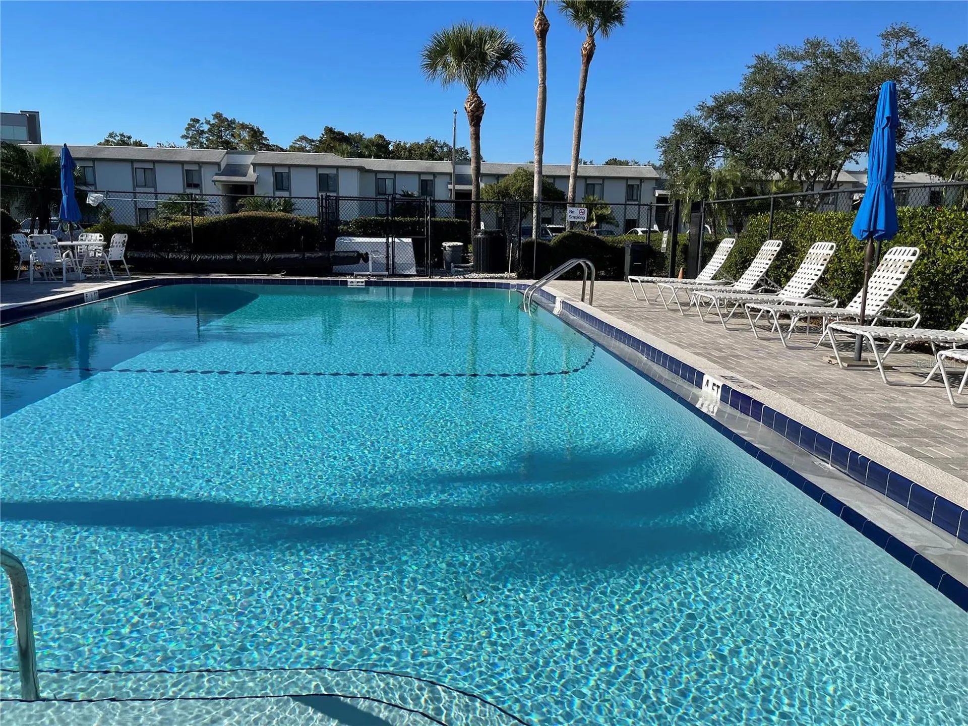 103 Palmetto Court Oldsmar FL 34677