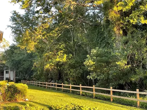103 Palmetto Court Oldsmar FL 34677