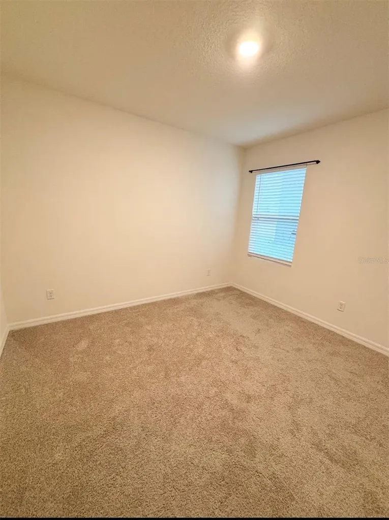 5216 Greenheart Avenue Mount Dora FL 32757