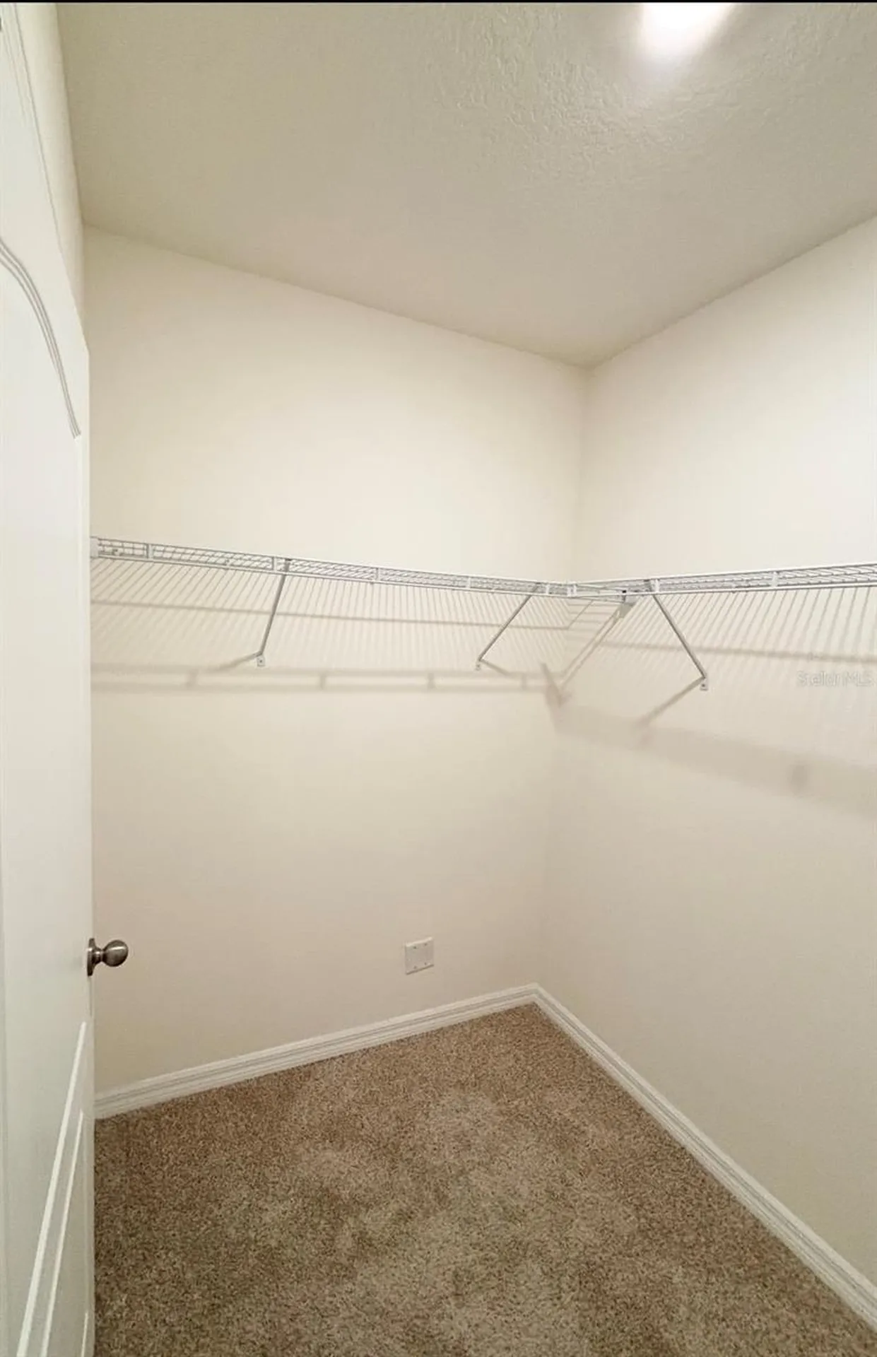 5216 Greenheart Avenue Mount Dora FL 32757