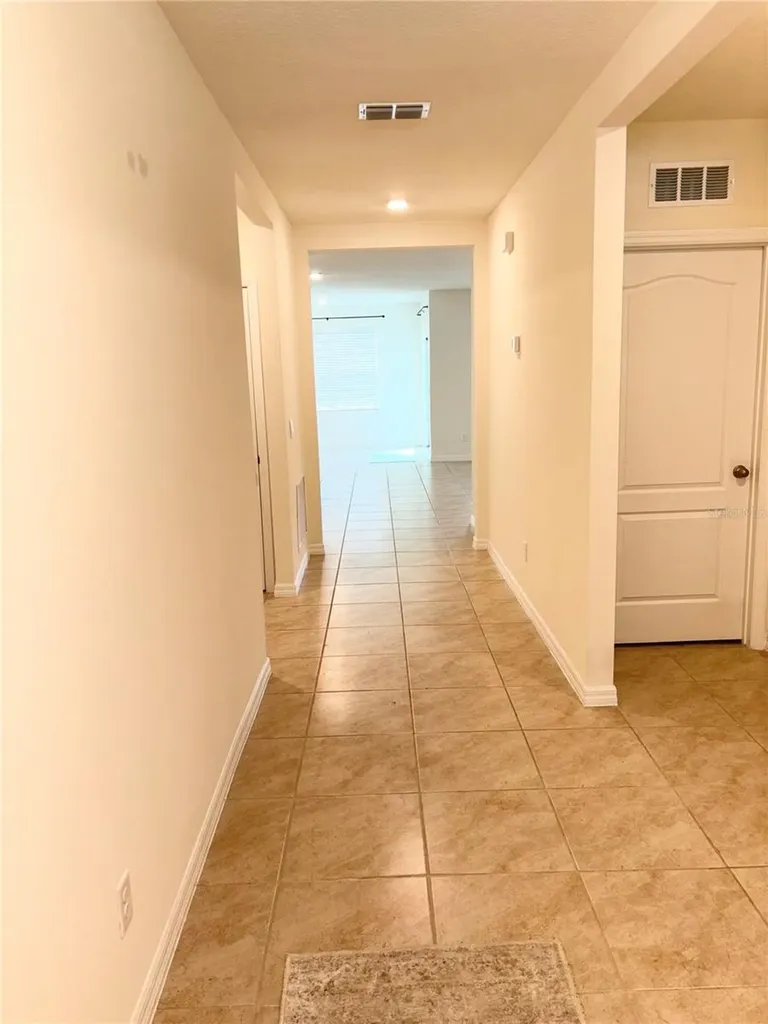 5216 Greenheart Avenue Mount Dora FL 32757