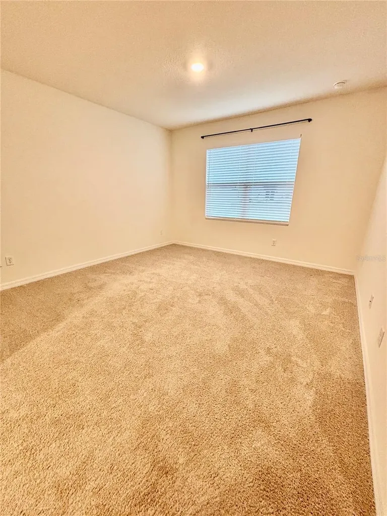 5216 Greenheart Avenue Mount Dora FL 32757