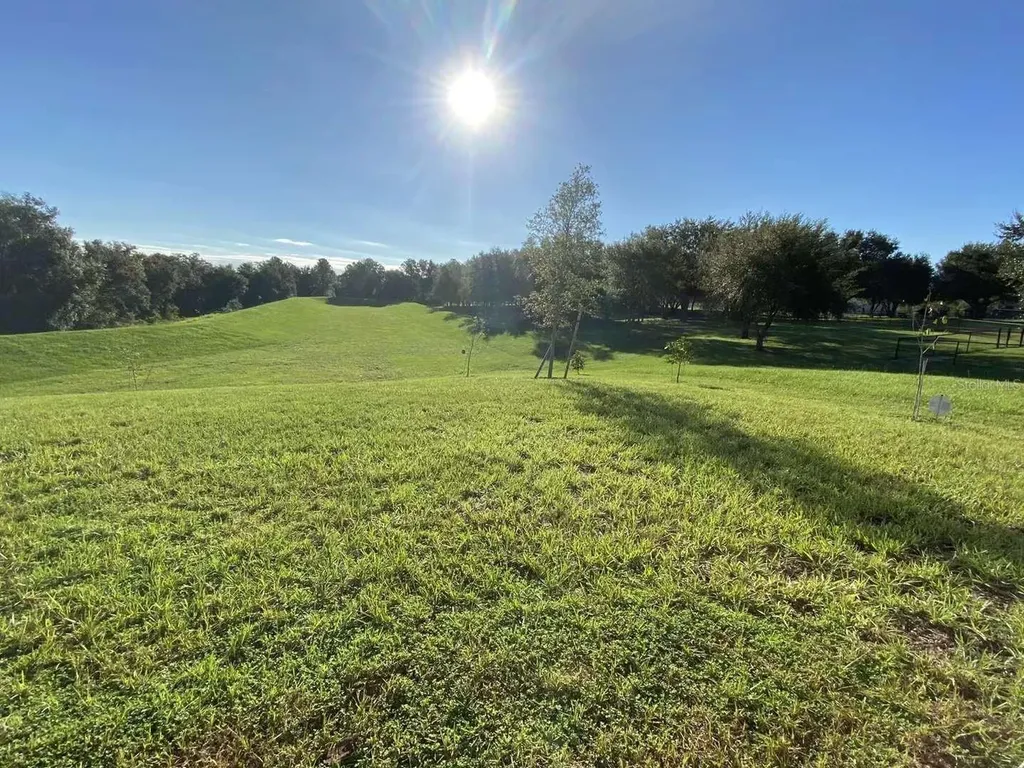 583 Black Eagle Drive Groveland FL 34736