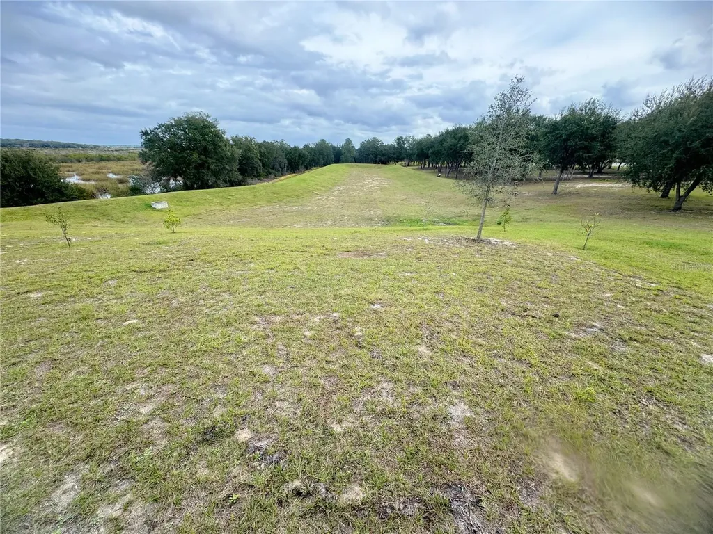 583 Black Eagle Drive Groveland FL 34736