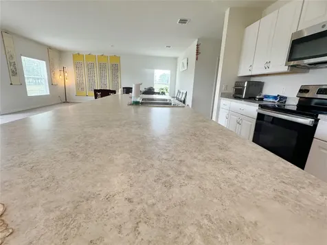 583 Black Eagle Drive Groveland FL 34736