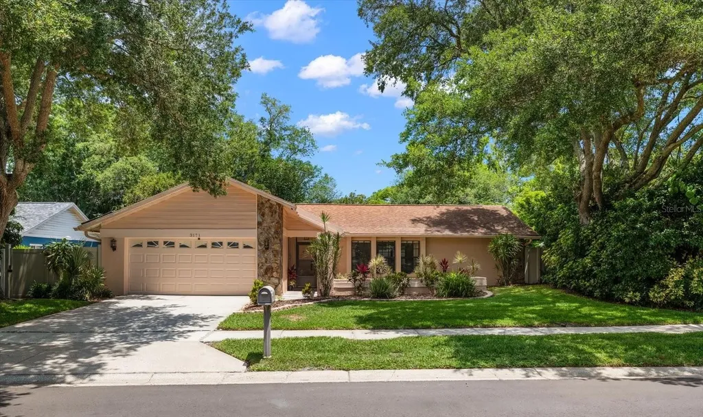 3171 Oak View Drive Palm Harbor FL 34684