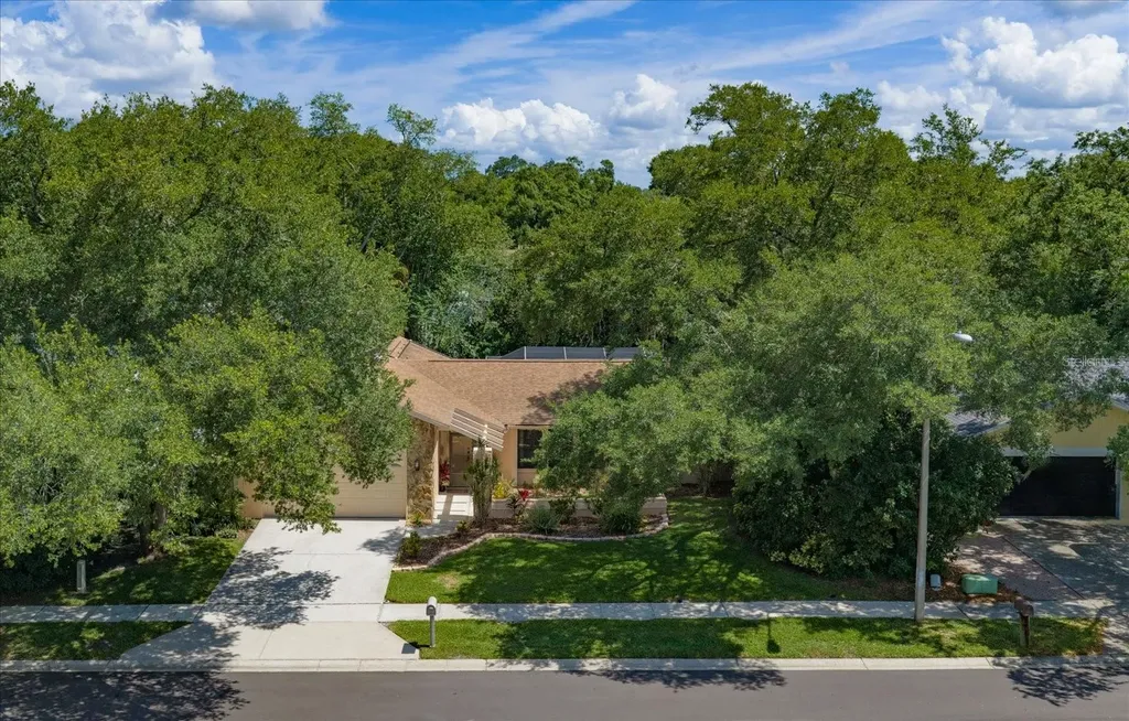3171 Oak View Drive Palm Harbor FL 34684