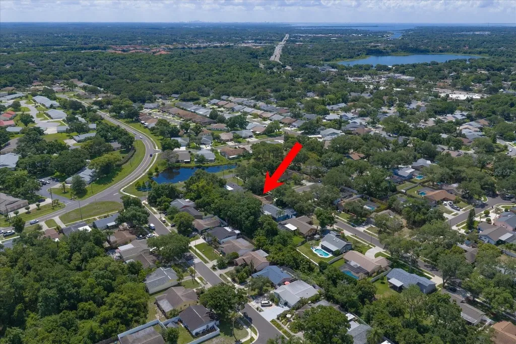 3171 Oak View Drive Palm Harbor FL 34684