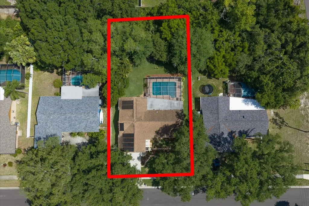 3171 Oak View Drive Palm Harbor FL 34684