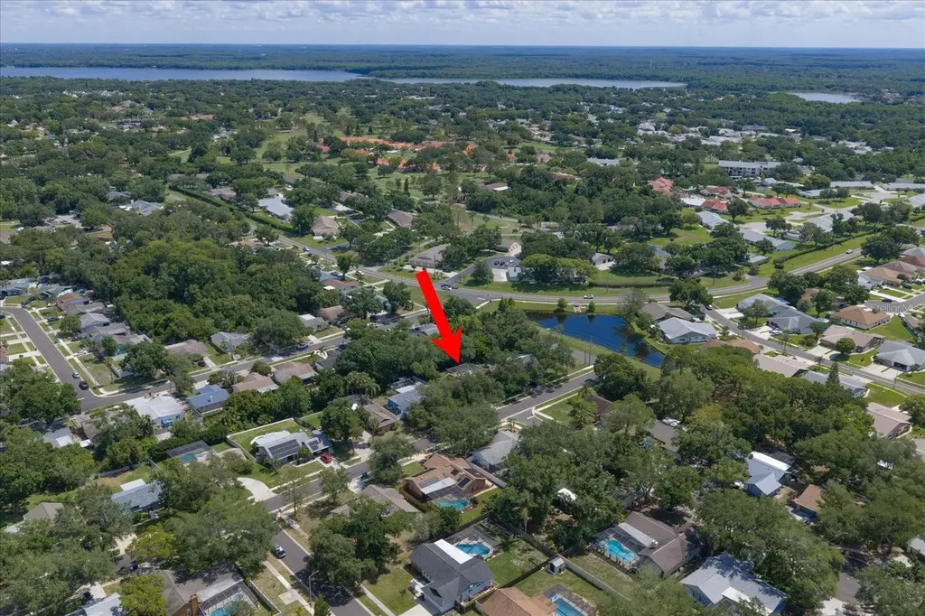 3171 Oak View Drive Palm Harbor FL 34684