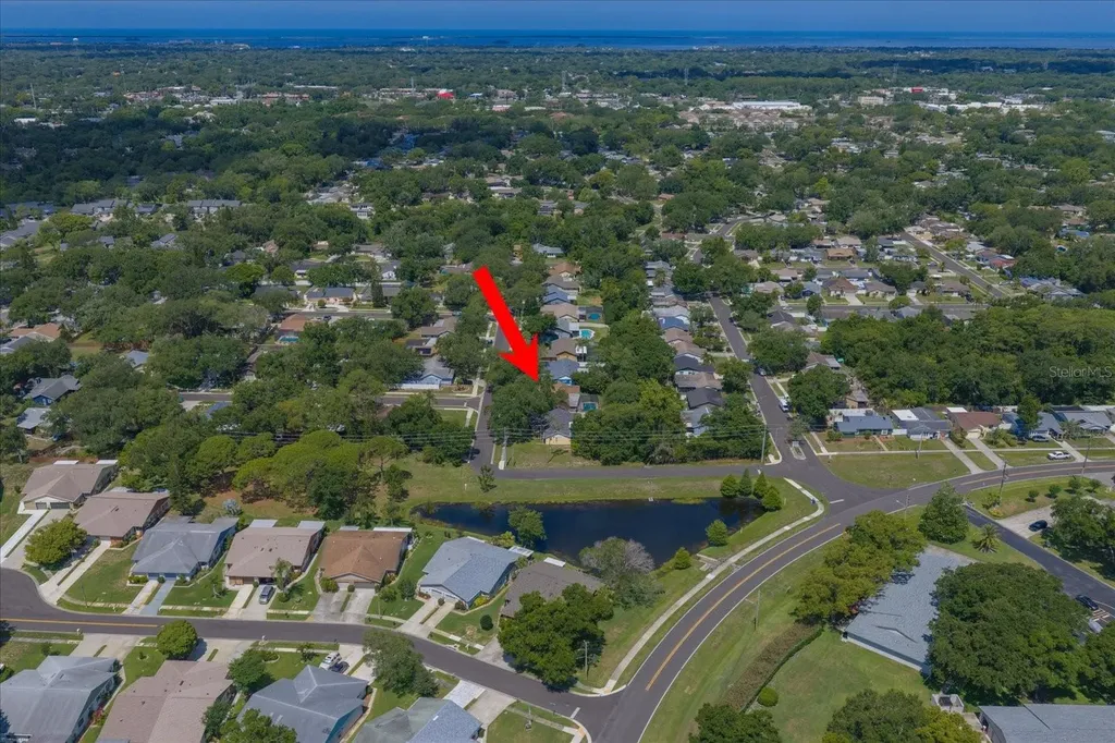 3171 Oak View Drive Palm Harbor FL 34684