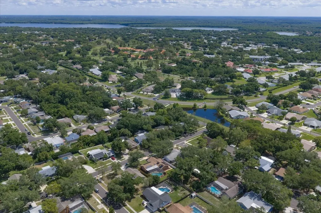 3171 Oak View Drive Palm Harbor FL 34684