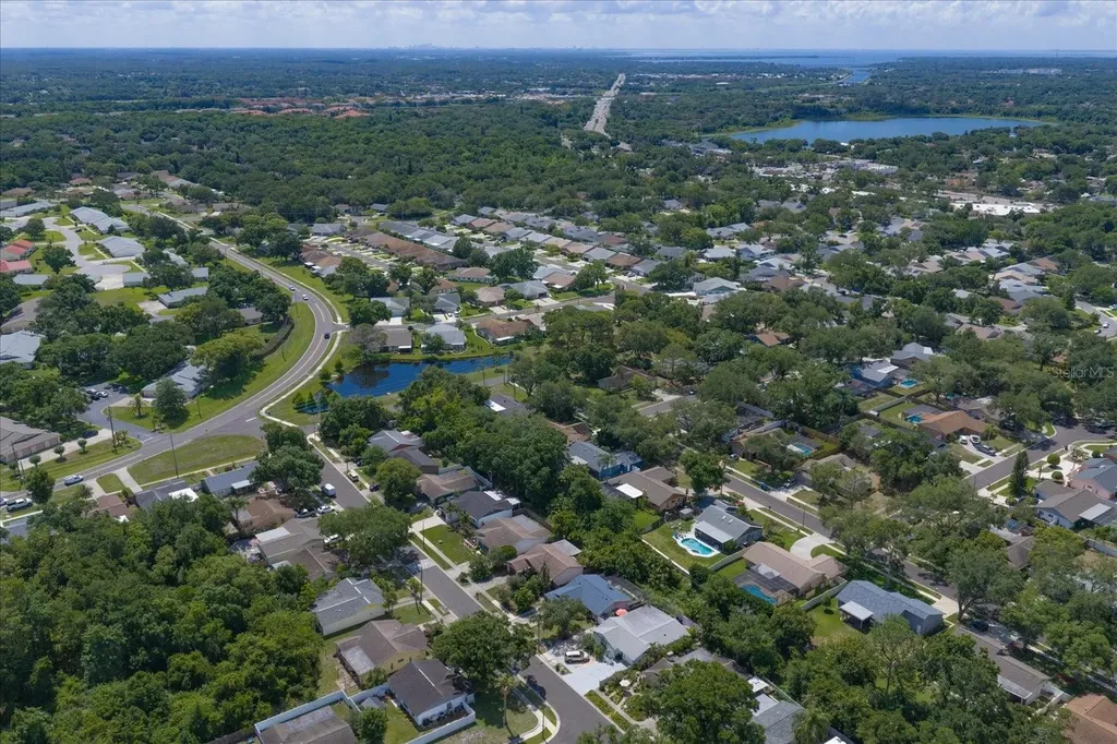 3171 Oak View Drive Palm Harbor FL 34684