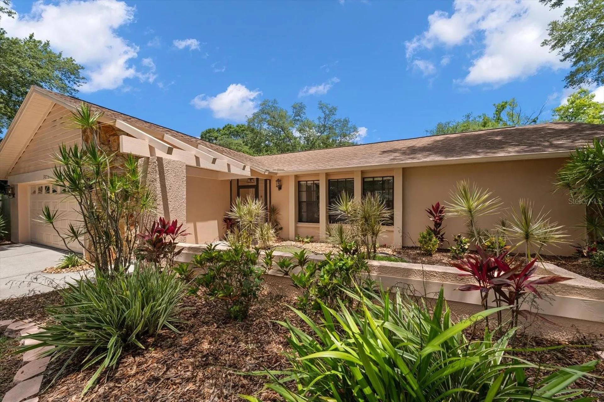 3171 Oak View Drive Palm Harbor FL 34684