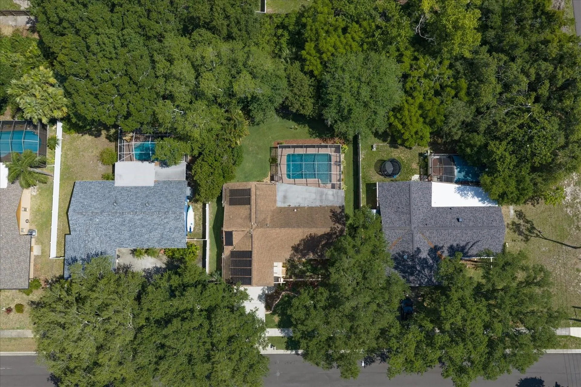 3171 Oak View Drive Palm Harbor FL 34684