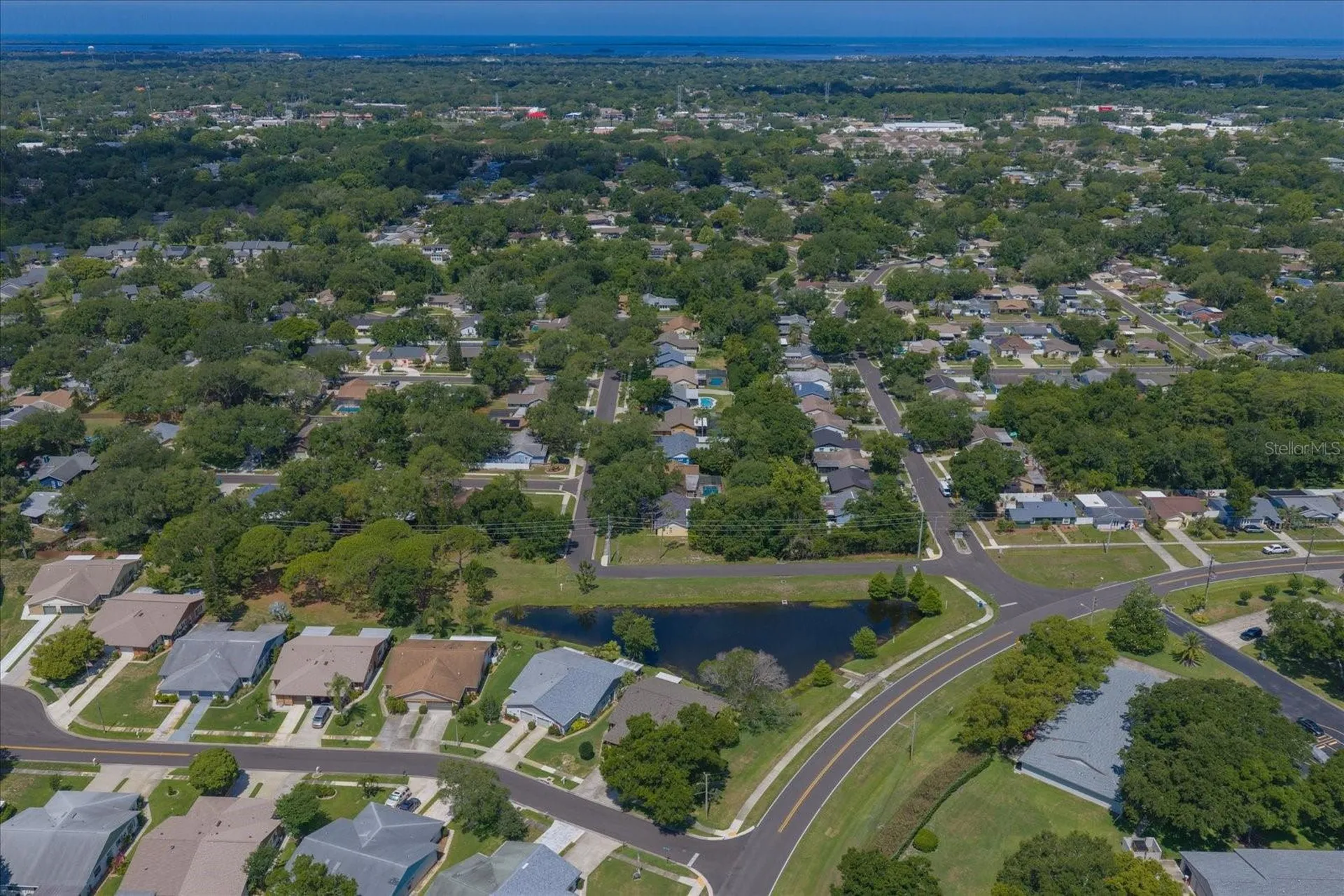 3171 Oak View Drive Palm Harbor FL 34684