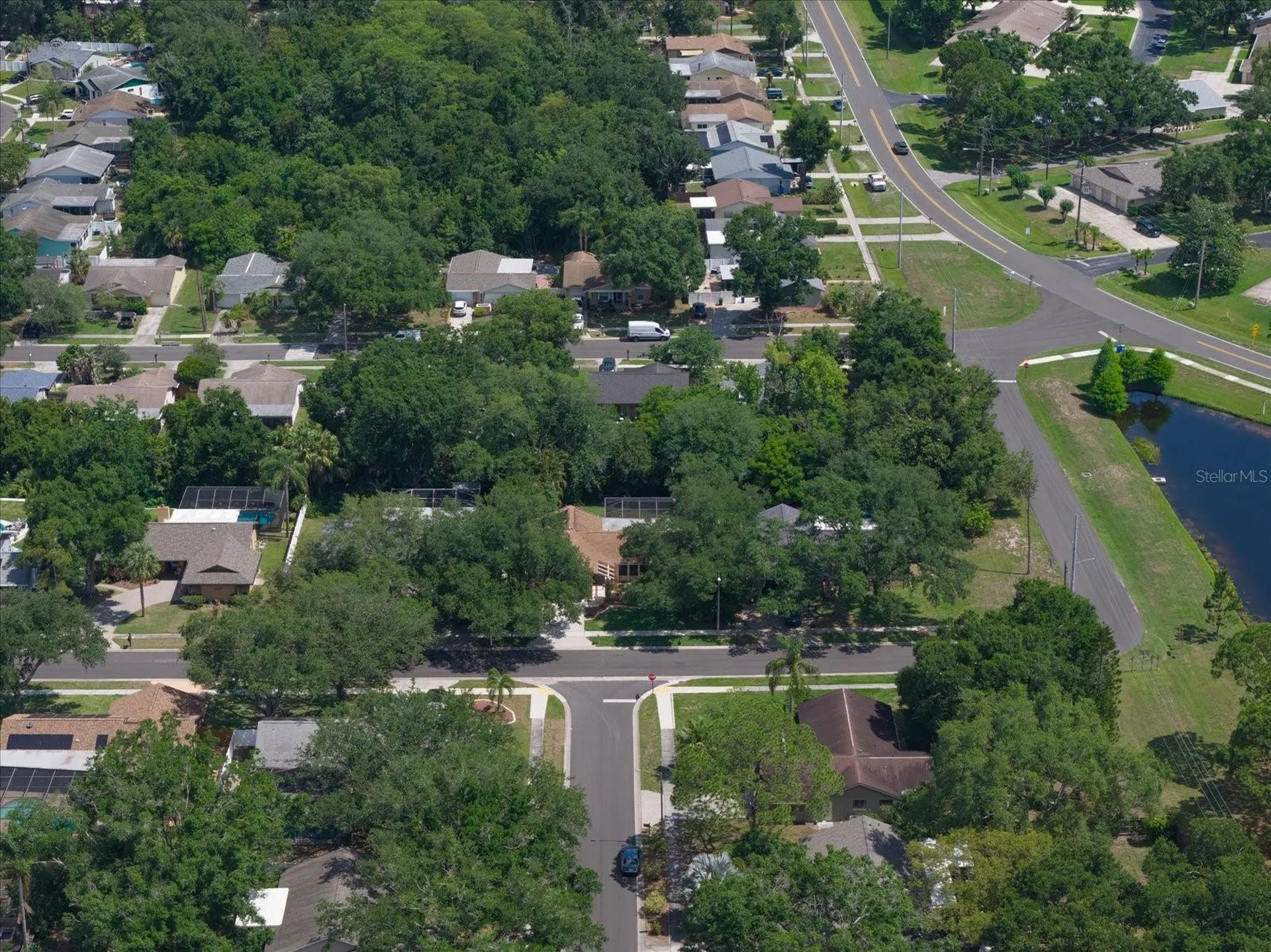 3171 Oak View Drive Palm Harbor FL 34684