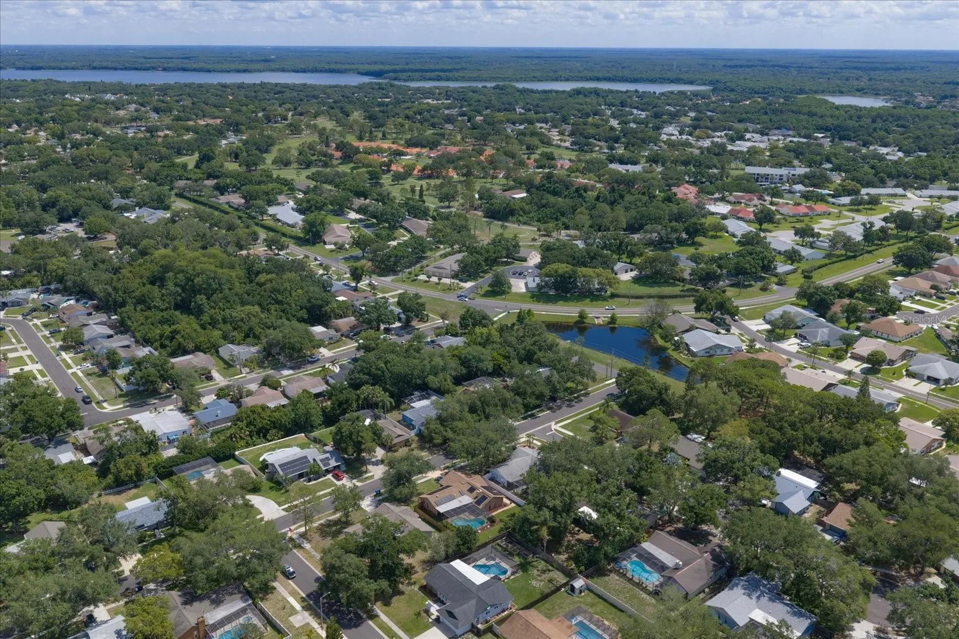 3171 Oak View Drive Palm Harbor FL 34684