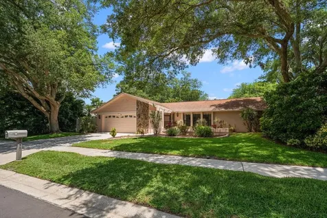 3171 Oak View Drive Palm Harbor FL 34684
