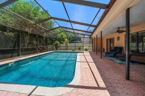 3171 Oak View Drive Palm Harbor FL 34684