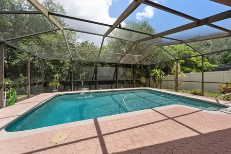 3171 Oak View Drive Palm Harbor FL 34684