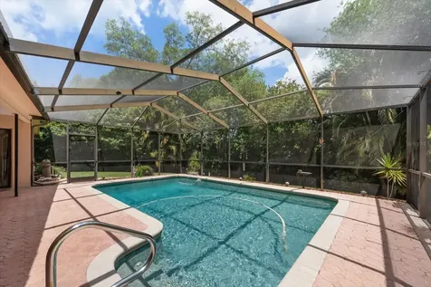3171 Oak View Drive Palm Harbor FL 34684