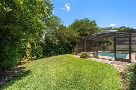 3171 Oak View Drive Palm Harbor FL 34684