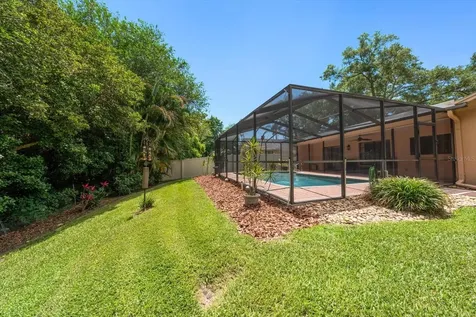 3171 Oak View Drive Palm Harbor FL 34684