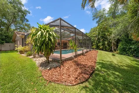 3171 Oak View Drive Palm Harbor FL 34684