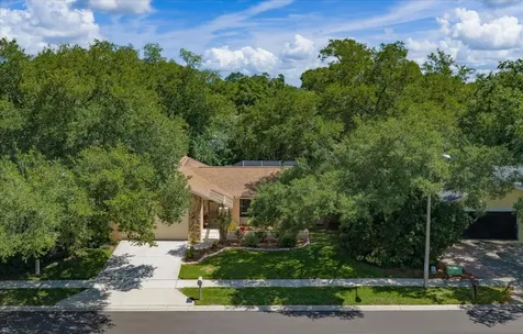 3171 Oak View Drive Palm Harbor FL 34684