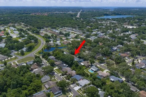 3171 Oak View Drive Palm Harbor FL 34684